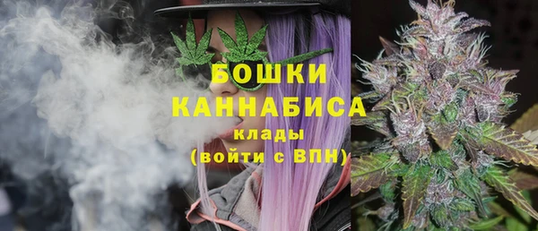 герыч Мегион