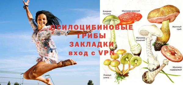 герыч Мегион